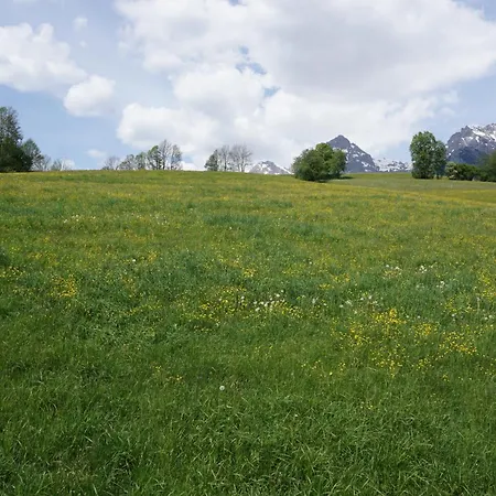 & Anny 住宿加早餐酒店 3*